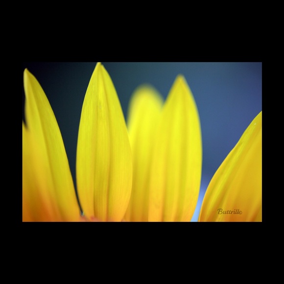 Meet your Posher, CB - Picture 4 of 5